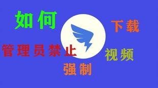 拼多多爆料最新视频下载,揭秘平台新动态与优惠福利