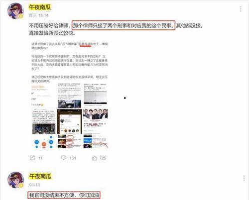 枞阳黑粉爆料事件最新,真相与争议交织的网络漩涡